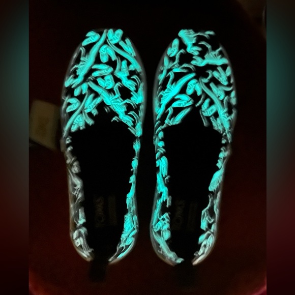 Kids Toms glow in the dark dinosaur Alpargata’s - Picture 7 of 7